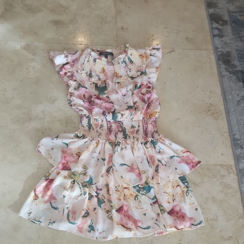 BCBGMaxAzria Floral Pink and Cream Dress